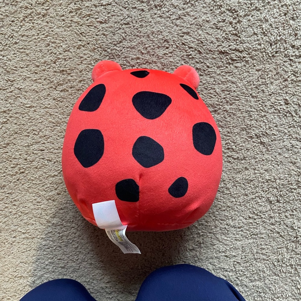 Squishmallow - Picture 2 of 3